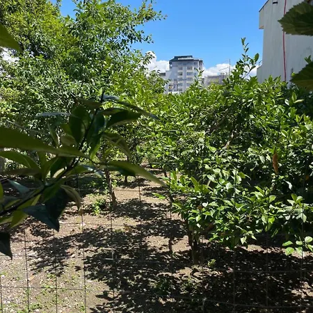 By Roni Affittacamere