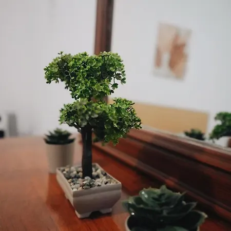 Affittacamere By Roni