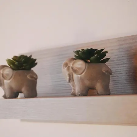 Affittacamere By Roni Durrës