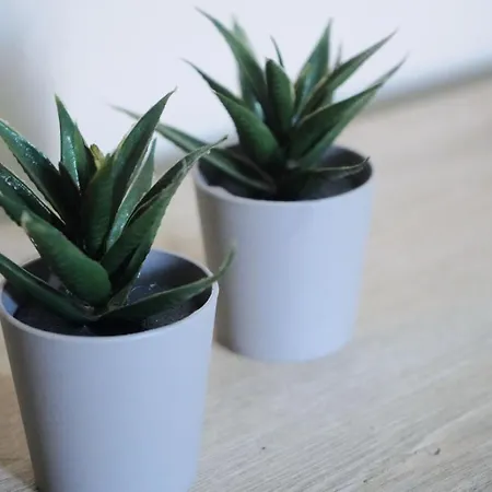 Affittacamere By Roni