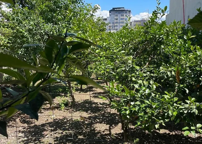 By Roni Гостевой дом