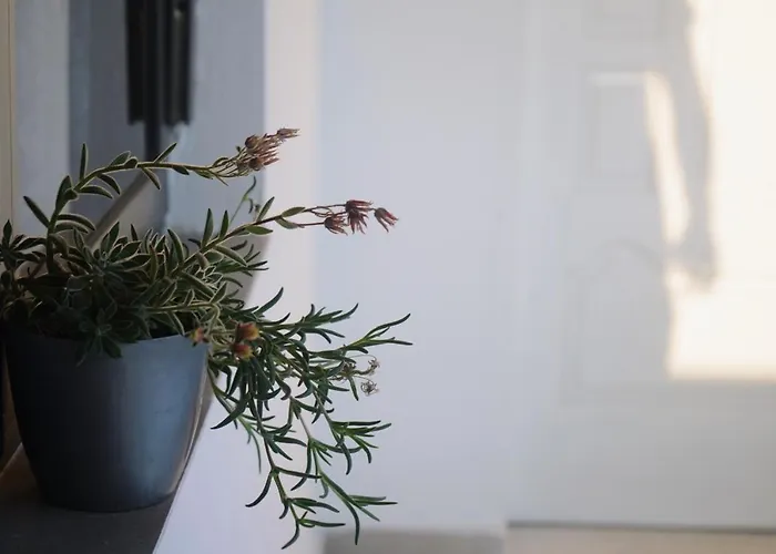 Maison d'hôtes By Roni Durrës