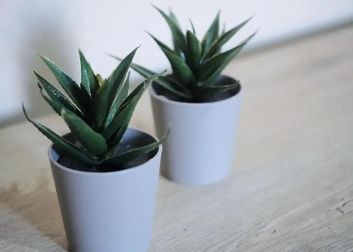 Maison d'hôtes By Roni